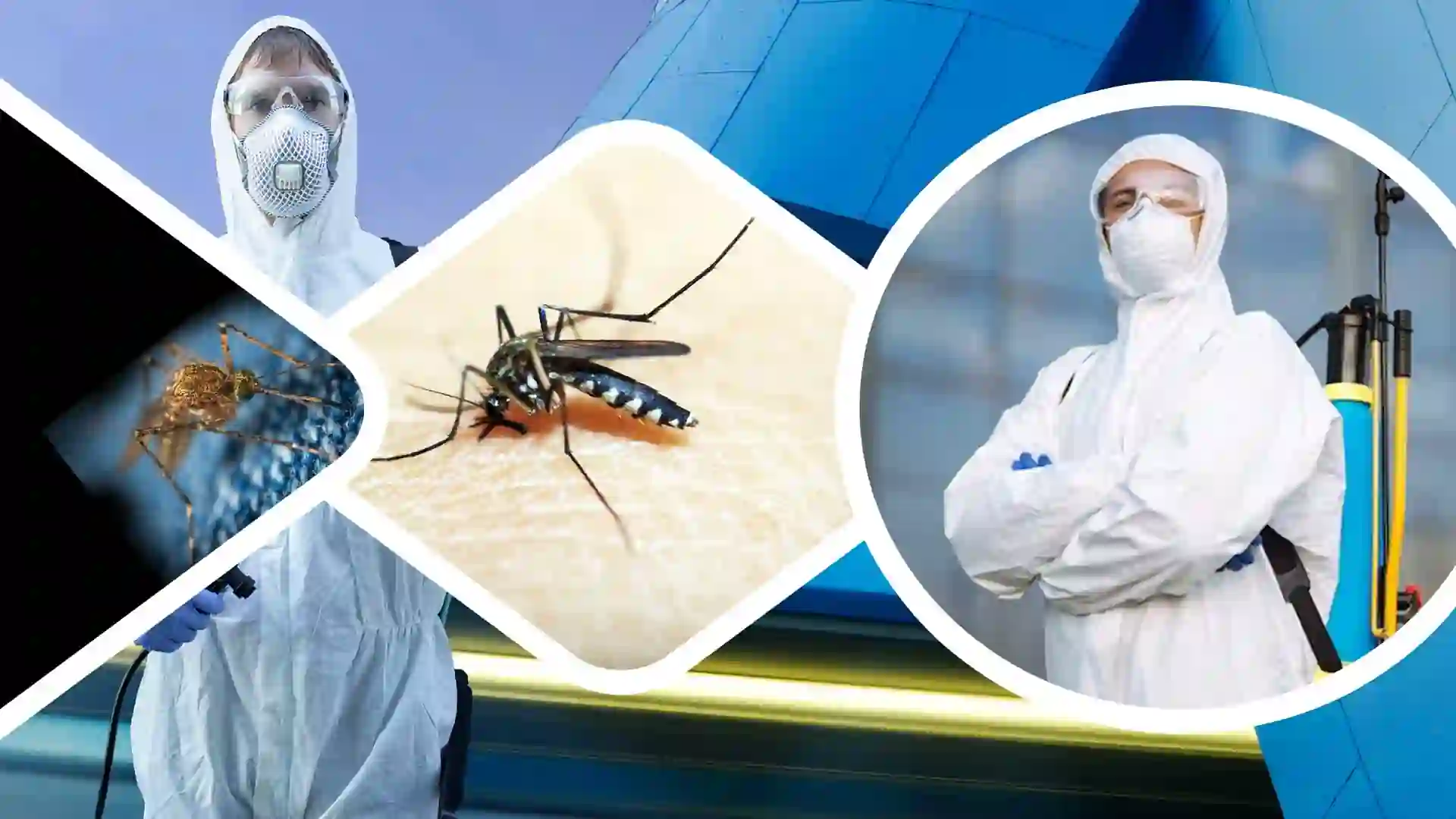 Mosquito Management Service